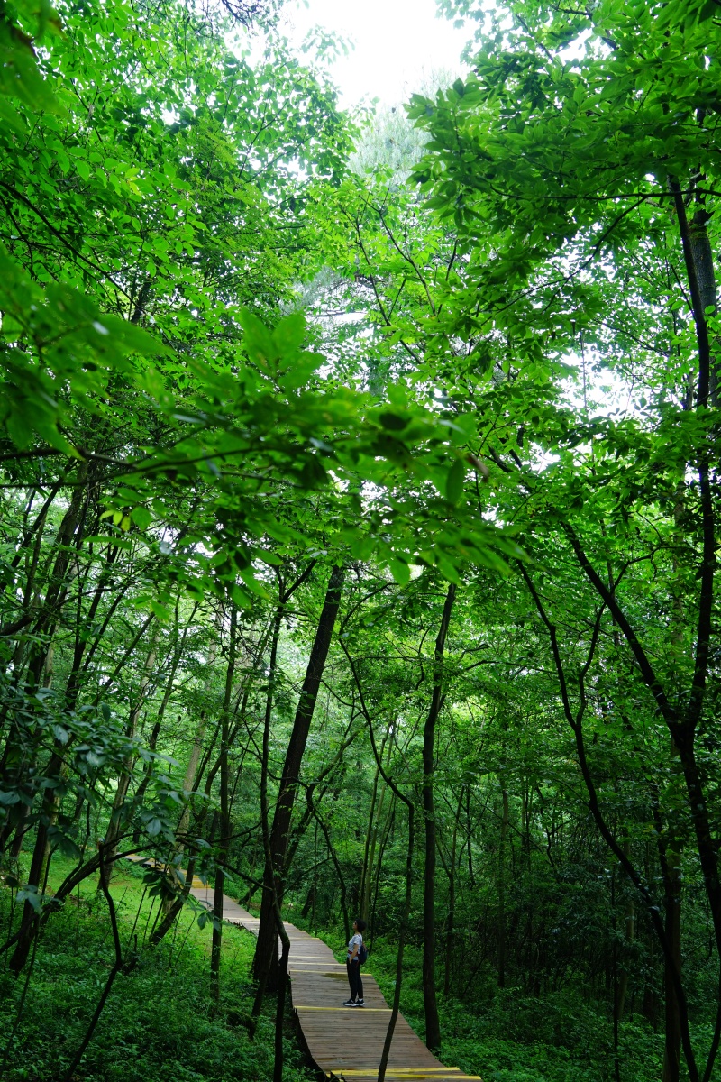让游客多住几天吉林通化旅居转型样本