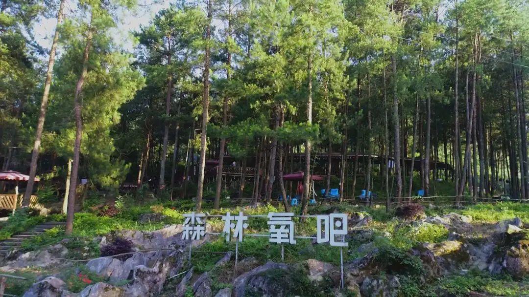 22℃凉夏加持吉林旅居康养落地生根