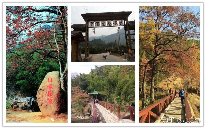 蜀南竹海(图1)