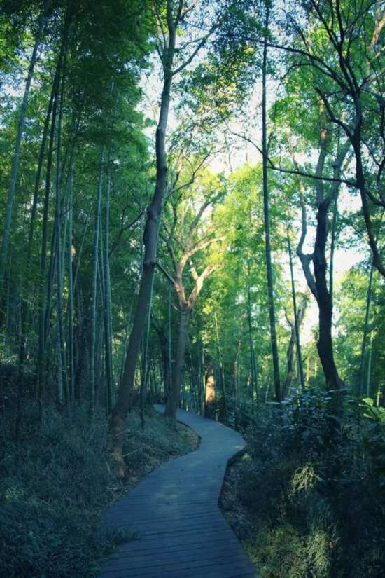 江浙沪暑期小众度假优选｜长三角安吉秘境线观景玩乐住宿一站式解锁