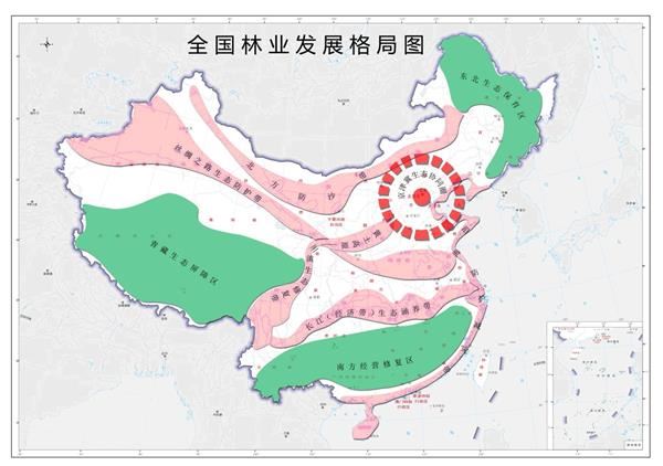 河南淅川：“林长+”绘就绿色新画卷