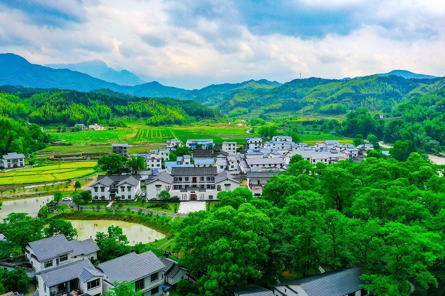 《关于加快推进生态旅游与森林康养产业发展的若干措施