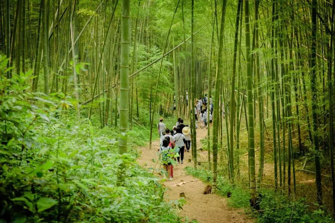 广东峡天下第四届登山大会
