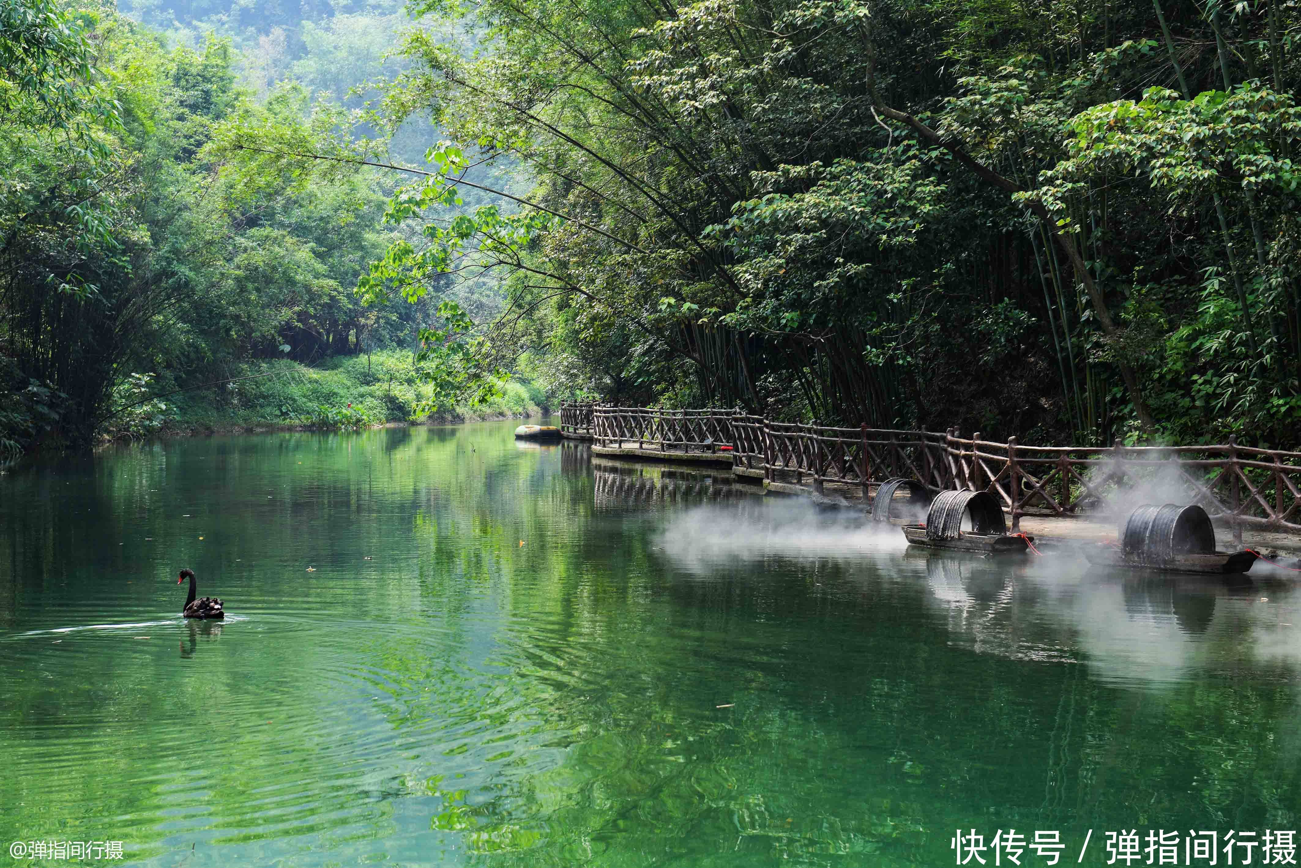 绵竹白云山绵竹(图1)