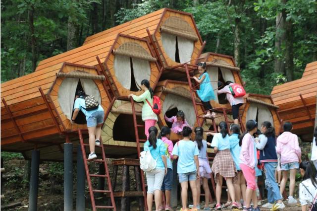 230余个项目、总投资规模超740亿元!重庆共享林业产业投资新机遇(图1)