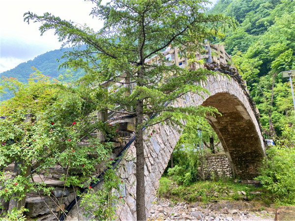 山水为骨康养为脉——浙江磐安打造长三角旅居康养金名片(图1)