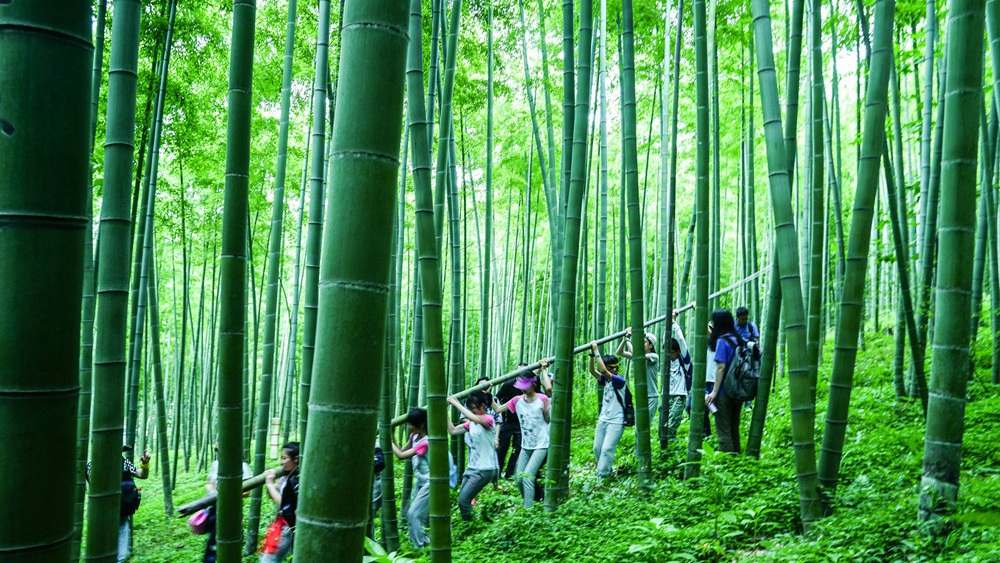 峨眉山重装徒步(图1)