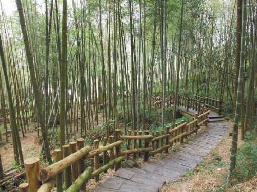 2019-2023年峨眉山市特色小鎮投資建設調查研究分析報告(图1)