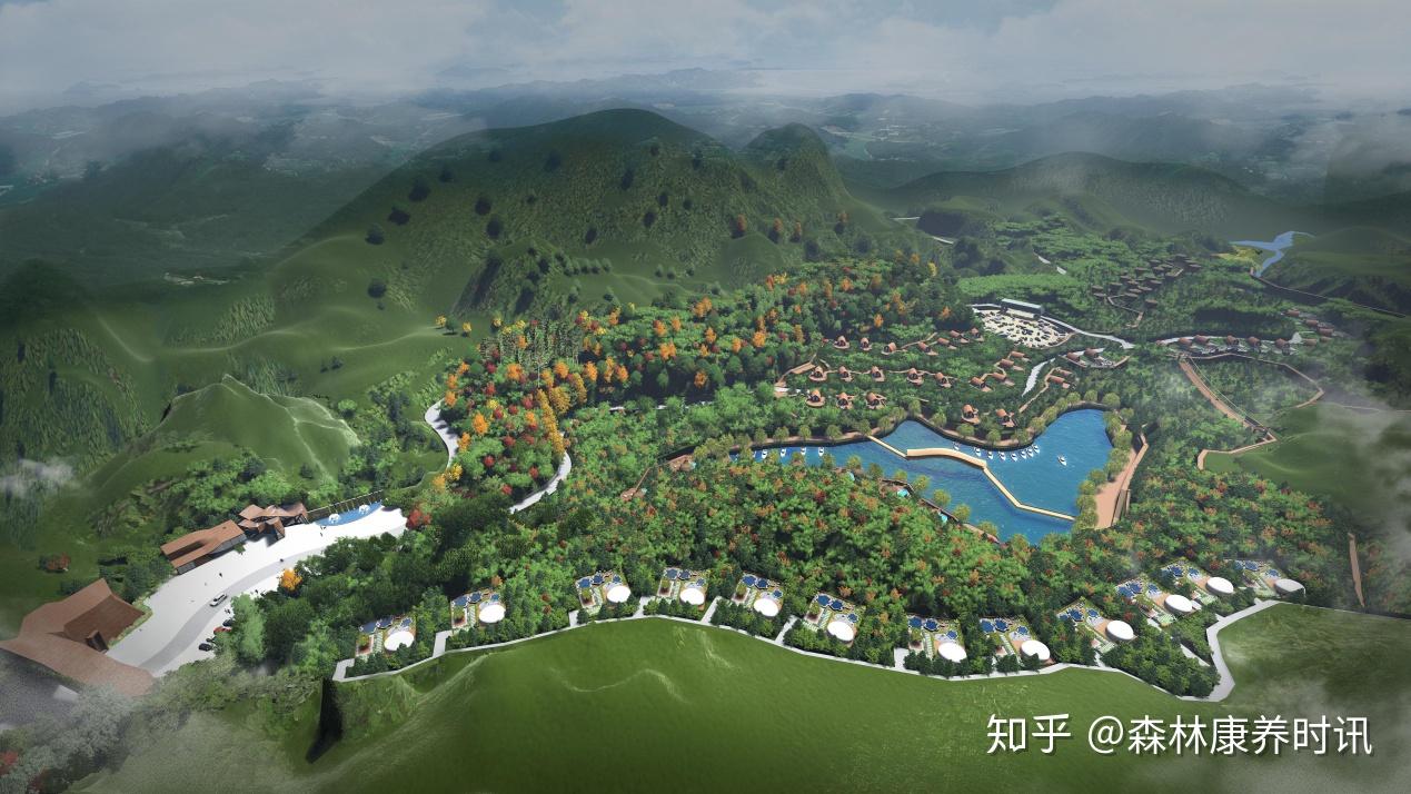 森林康养度假村项目策划书(图1)