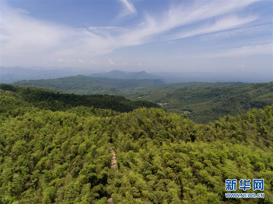 医疗招聘面试通知(图1)