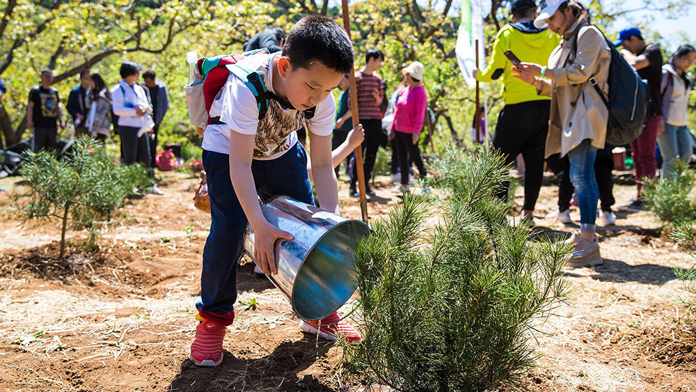 今天爬峨眉山的时候和小伙伴们走走停停路线规划全靠随缘根本没做任何攻略感谢徒步途中遇到的小姐姐给的超详细的峨眉山徒步全览图靠着这张图我们三拨人很快就晓得彼此的位置顺利会师啦!(图1)