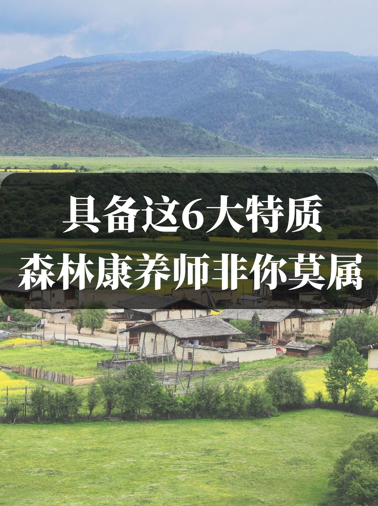 西交子村:让沉睡的生态资源活起来(图1)