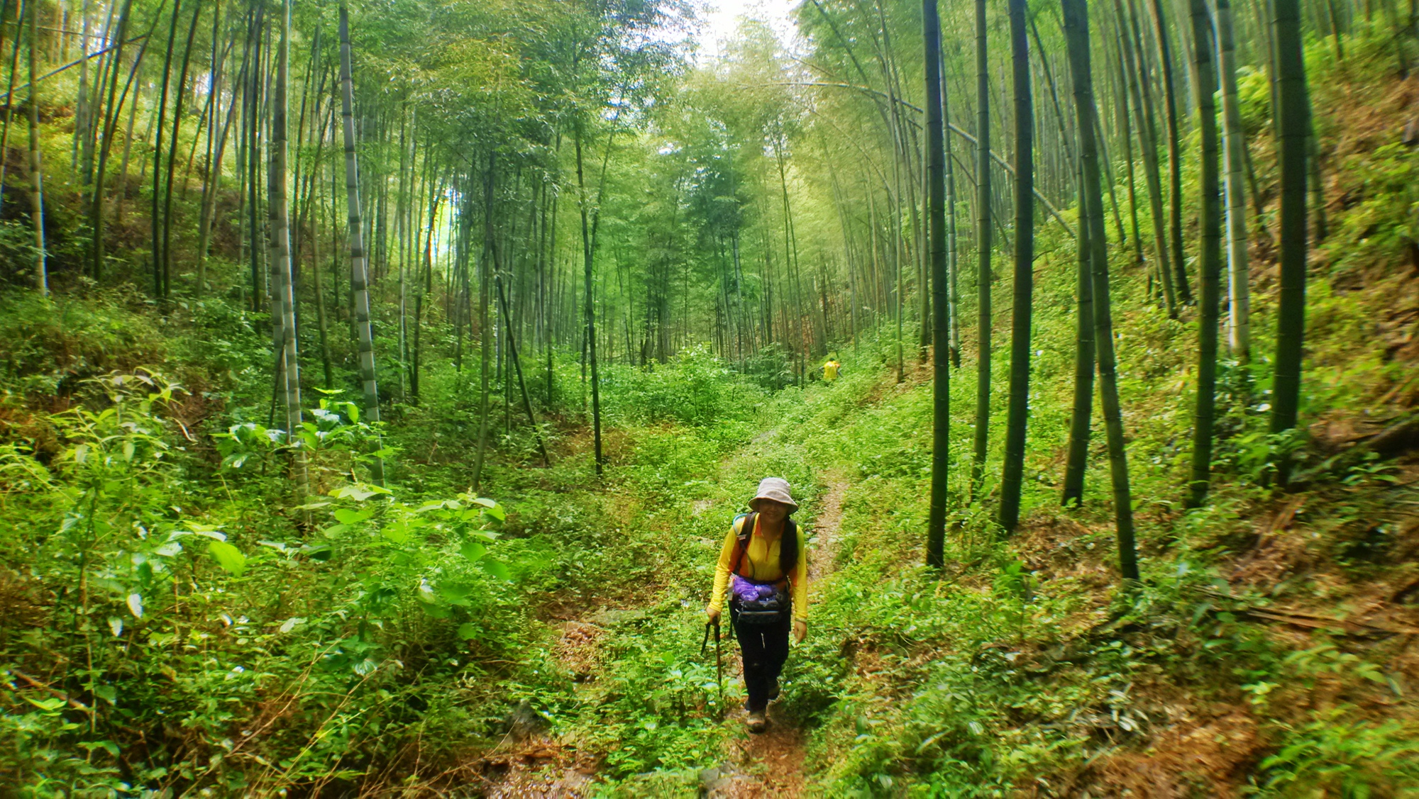南平市新增三个省级“金牌旅游村”(图1)