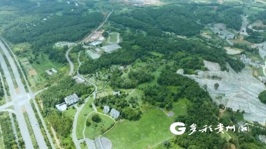 森林康养疗愈(图1)