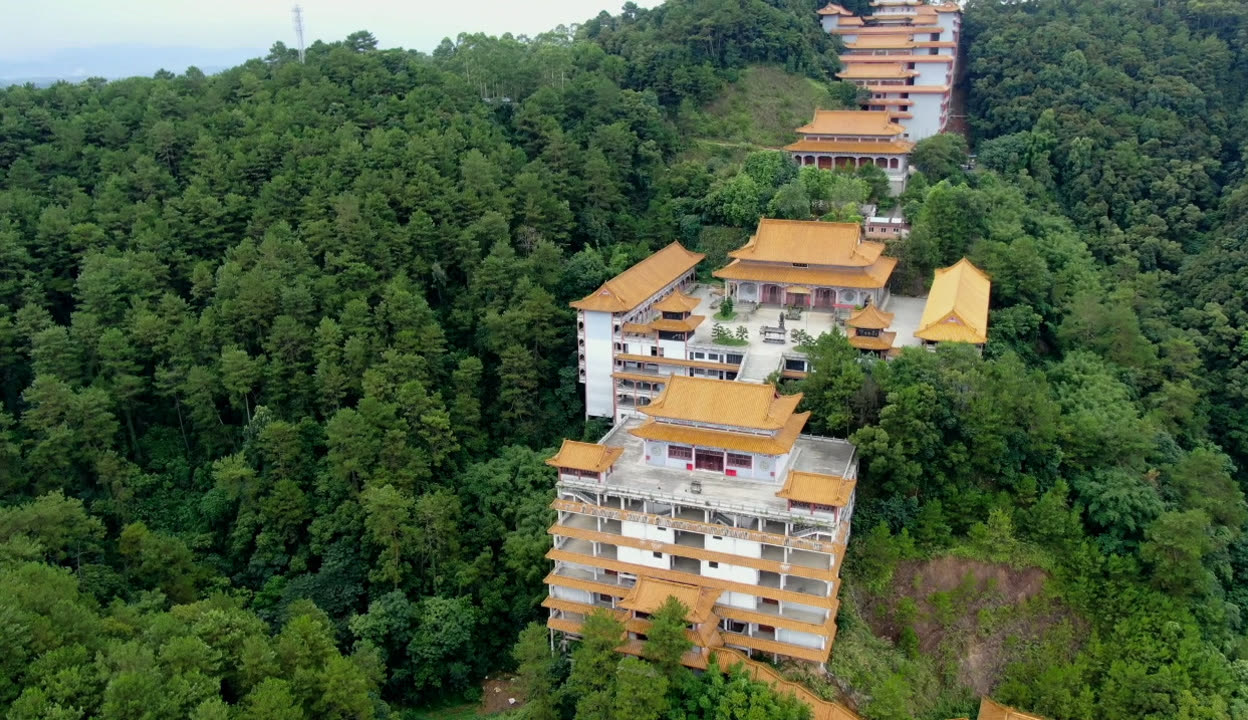心智观察所-观察者网(图1)