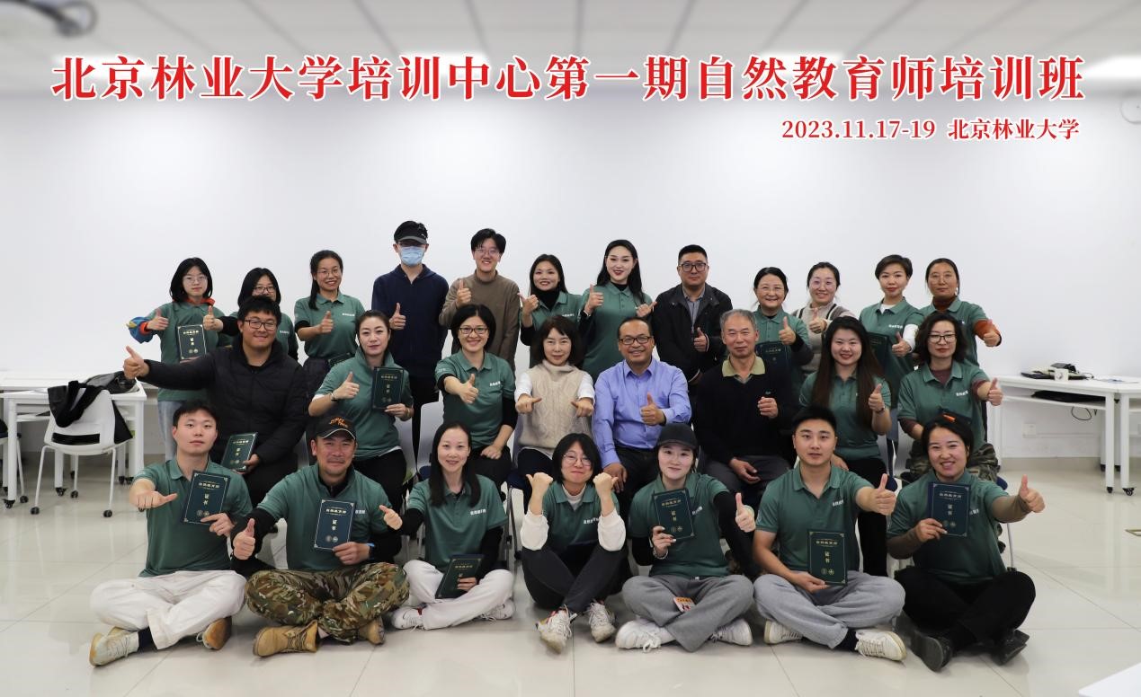 森林疗养师是什么(图1)