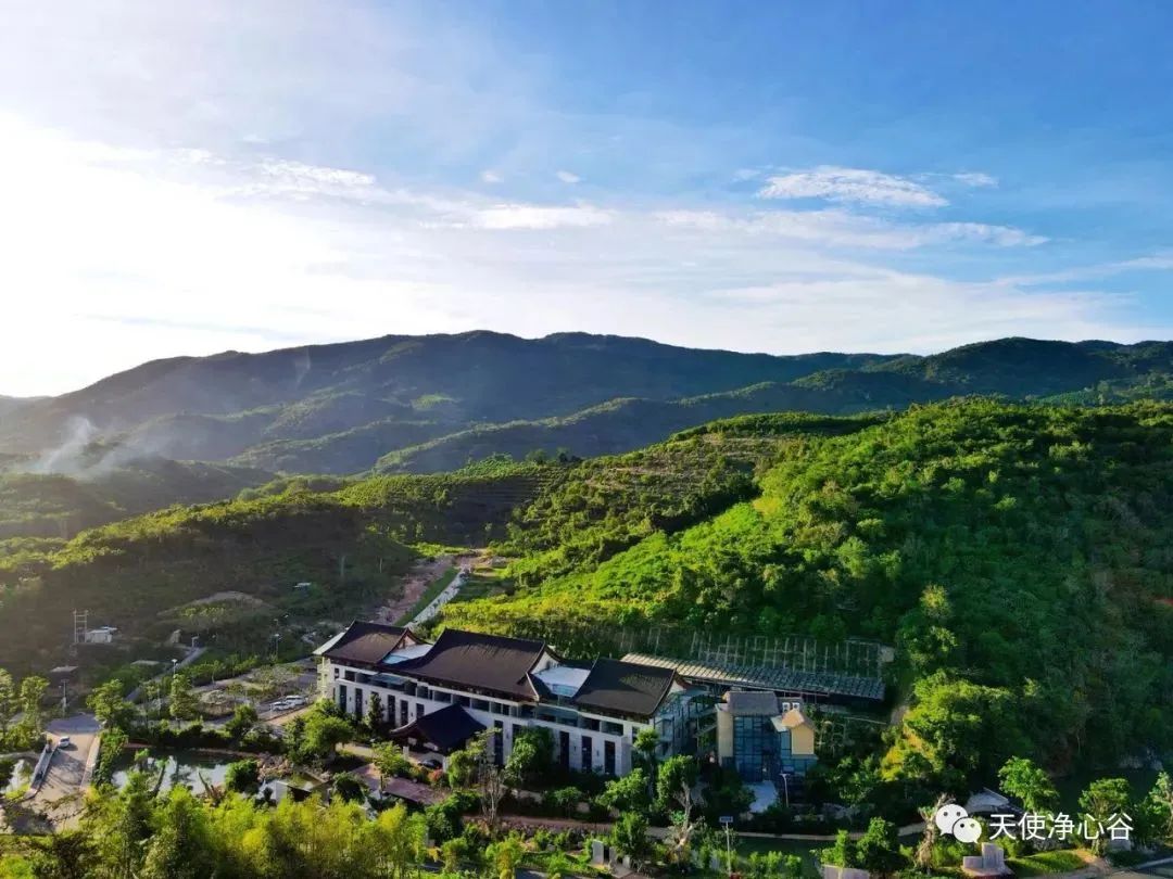 森林康养山居之中寻觅长寿之道(图1)