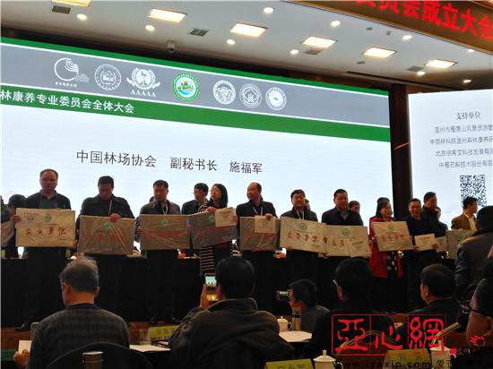 【牢记初心使命奋进复兴征程】护绿与增收的双向共赢——陇南市积极推进林区基层党建提质增效(图1)