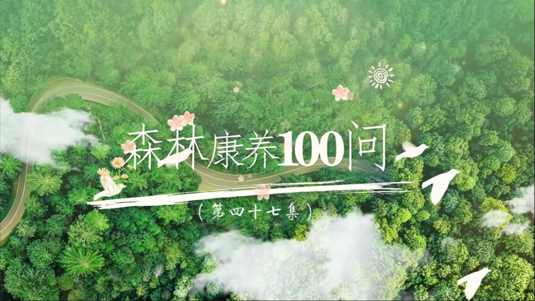 通知(司法文件)(图1)