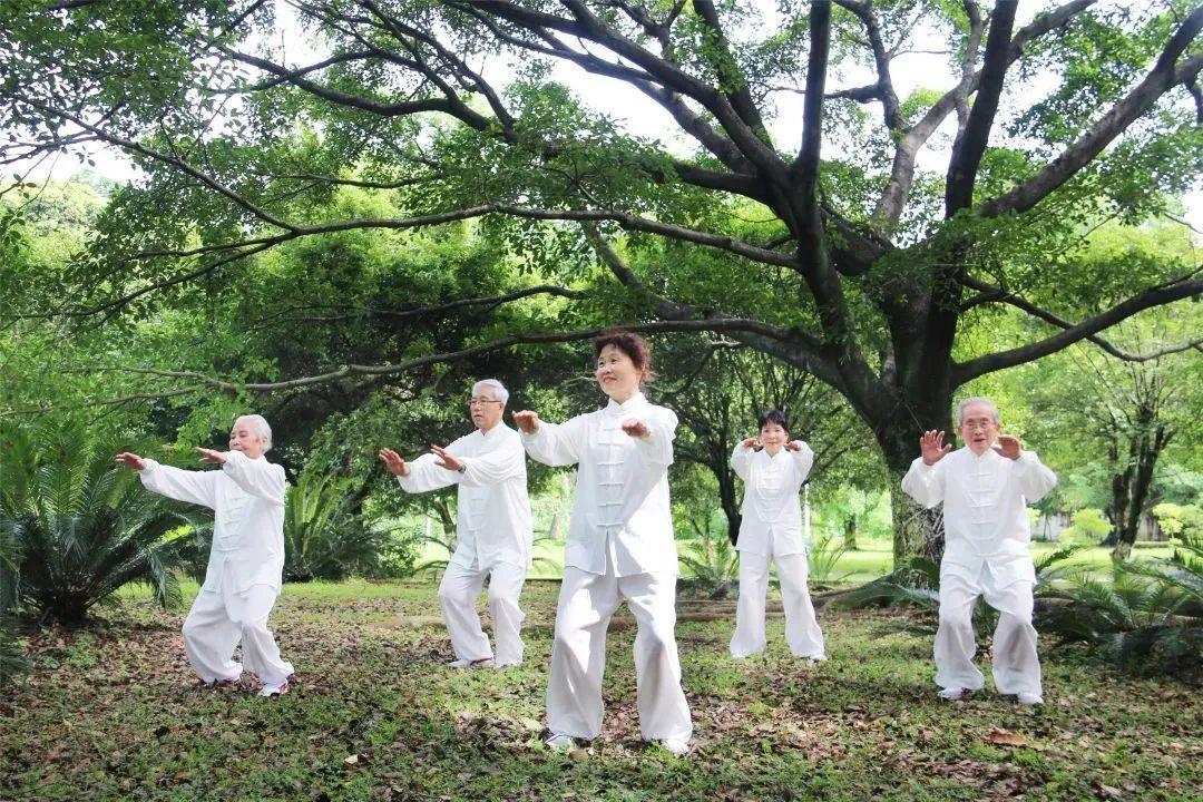 海东擦亮高原“康养绿都”特色金名片(图1)