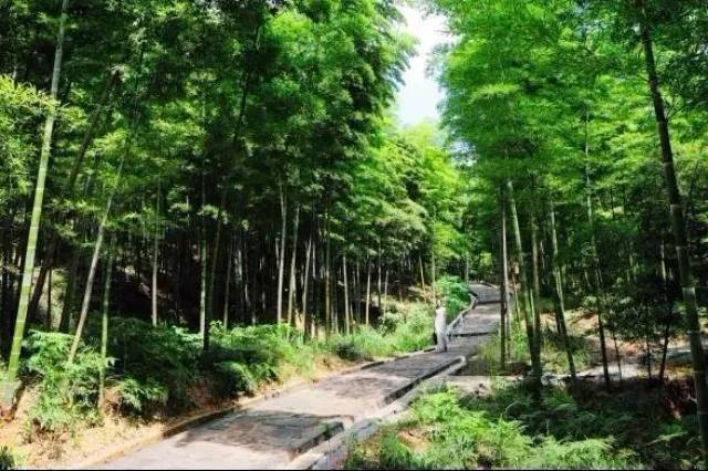 在古村文化中感悟历史在乡野田间享受农趣br当代“归园田居”别样精彩(图1)