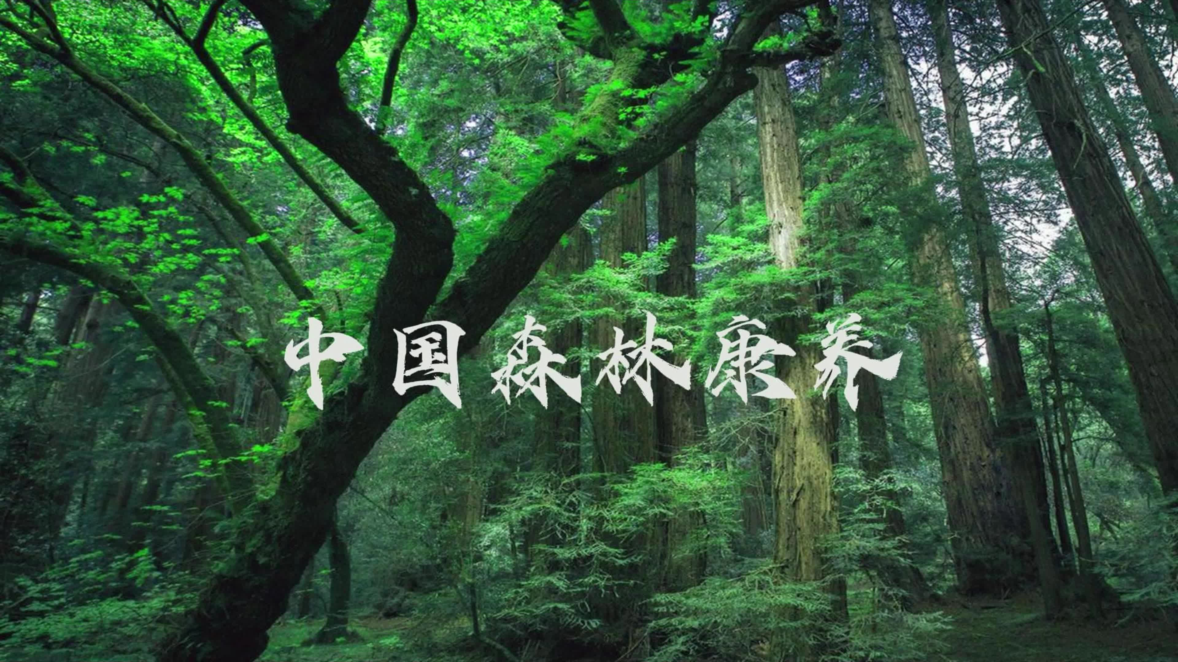 黄河岸线新答卷:生态修复与文保活化在运城双向落地(图1)