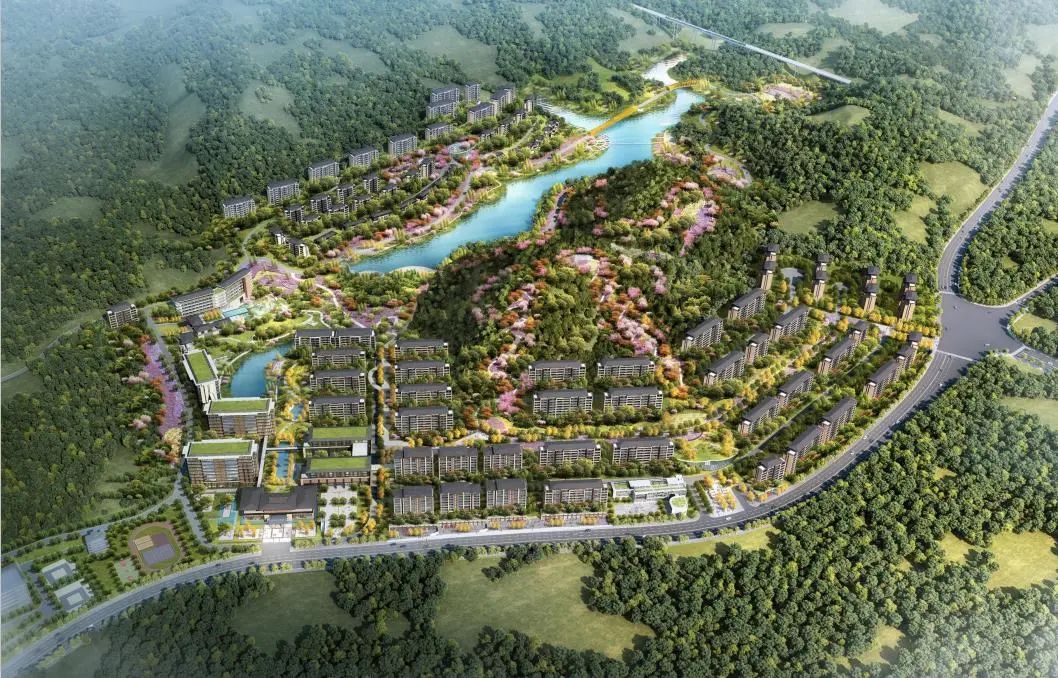 科技赋能发展安徽林业跑出“加速度”(图1)