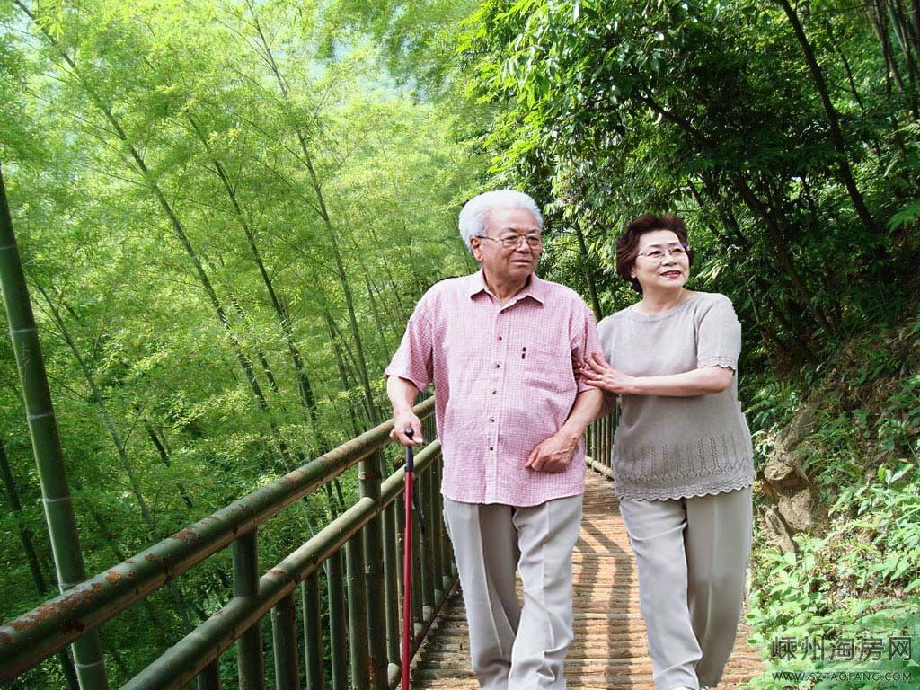 好生态带热健康游走进森林深呼吸(图1)