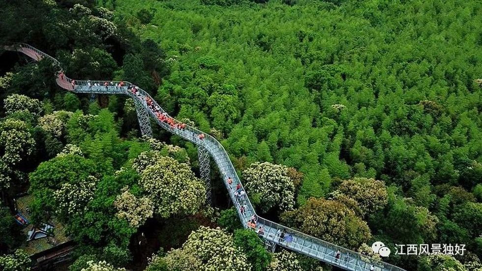 湖北日报丨避暑康养之旅榜单发布十大胜地解锁荆楚清凉慢生活(图1)