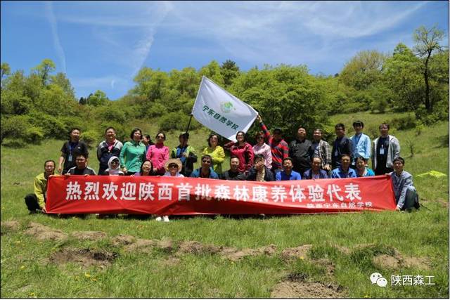 当下流行的森林康养你了解吗?(图1)