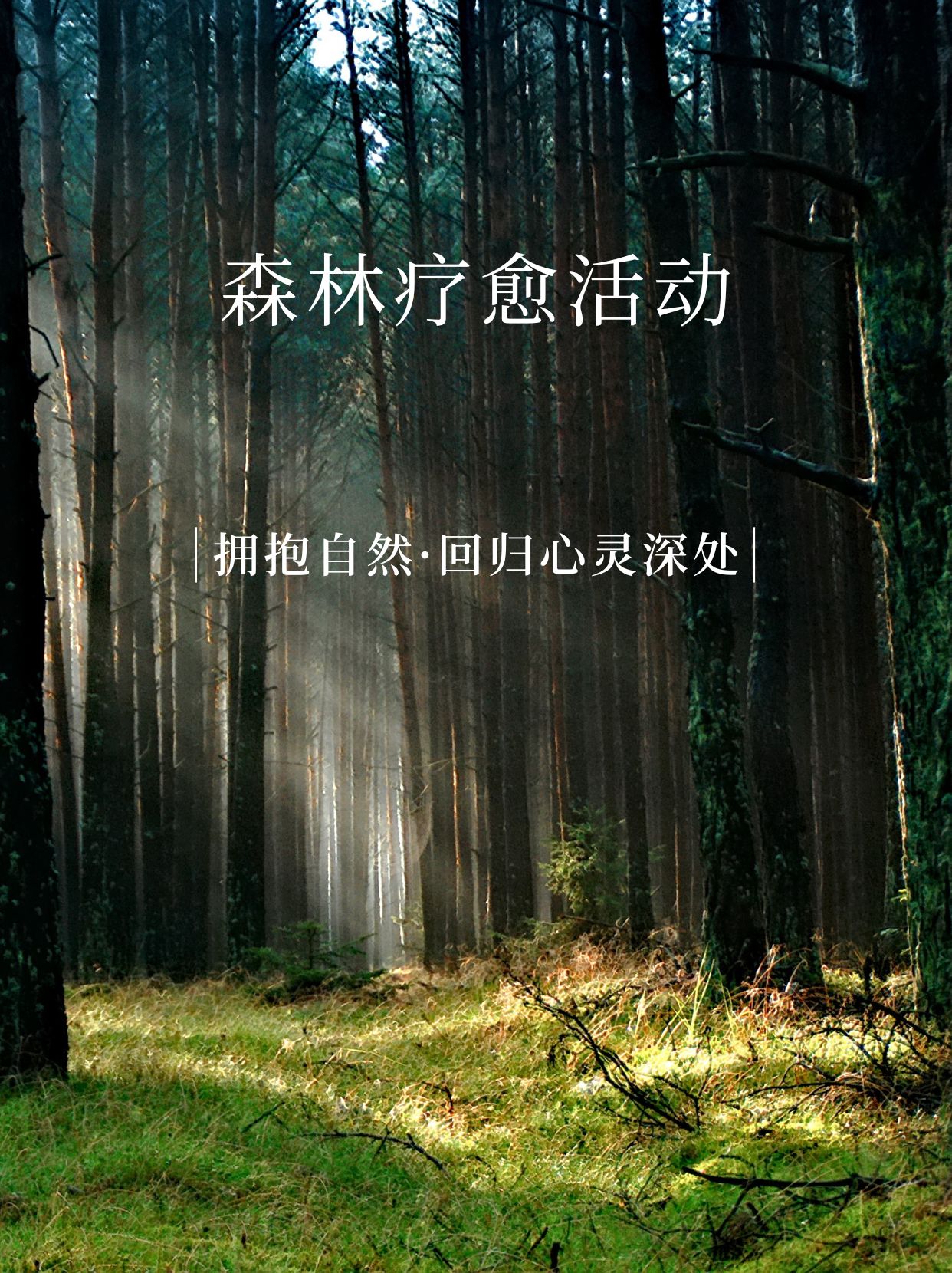 连云港市文广旅局(图1)