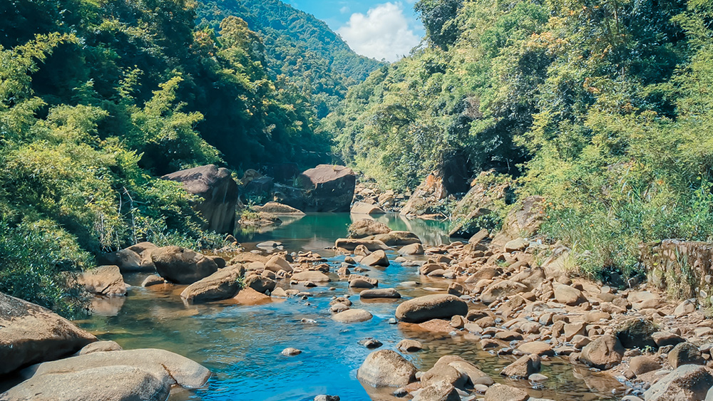 在湖庐自然艺术空间周边在蓝天白云下(图1)
