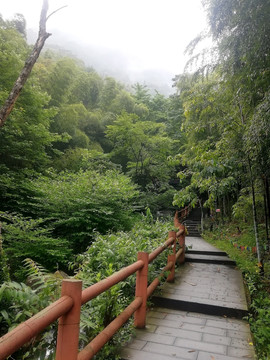 广发景秀纯债A(图1)