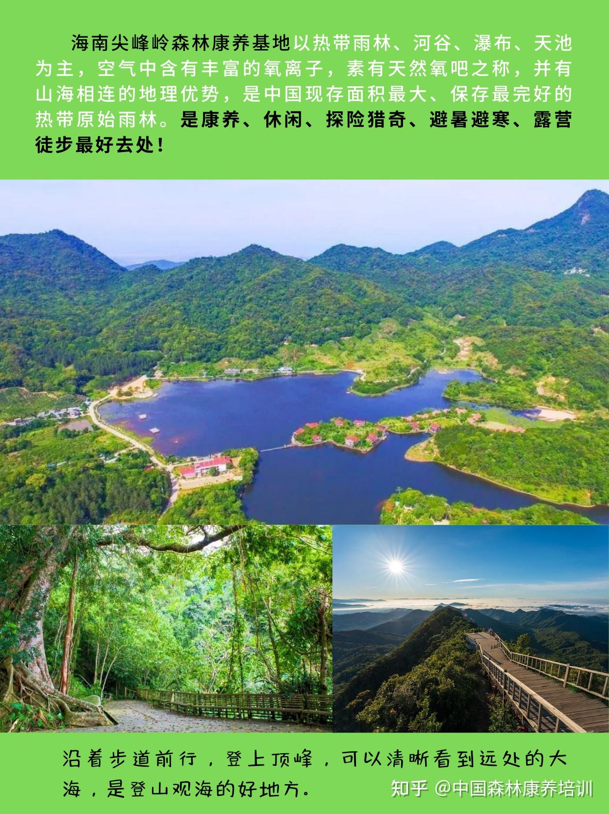 森林康养:内涵、作用与发展对策(图1)