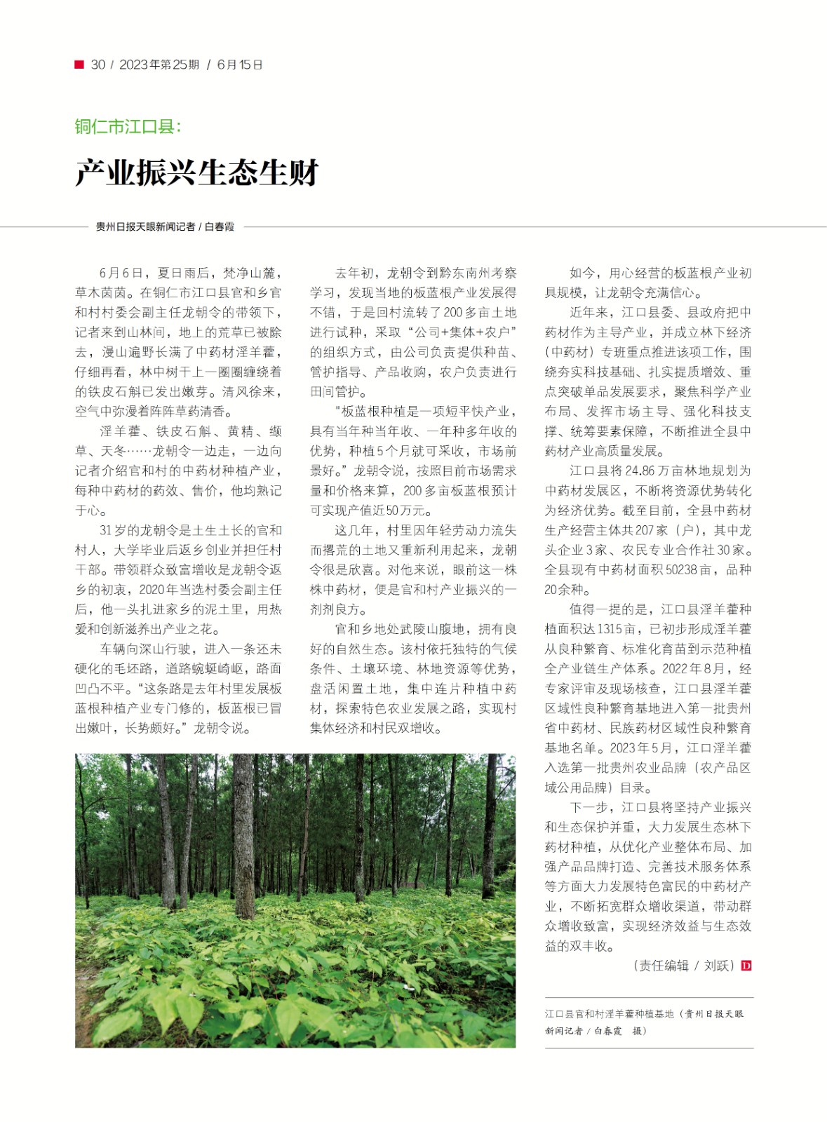 市场_河北_每日经济(图1)