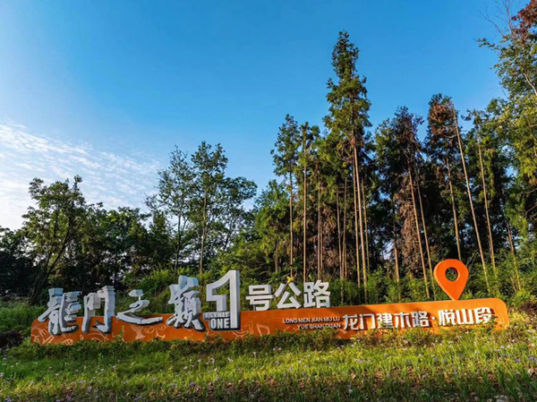 九江柴桑激活林下经济铺就生态共富路(图1)